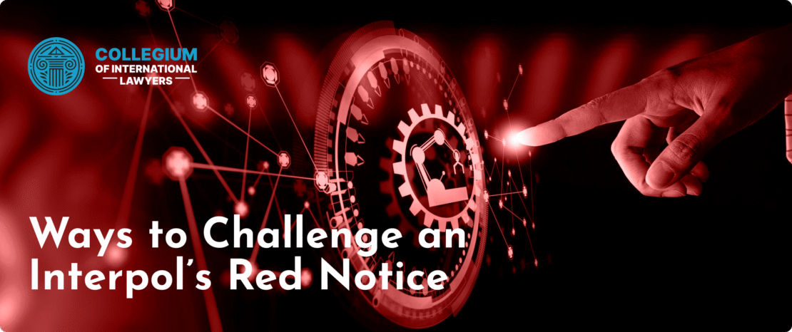 How to Safeguard Against the Misuse of Interpol's Red Notices